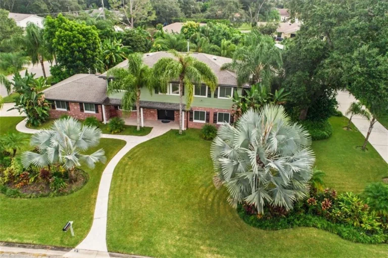 7 Summit Pathways - Tampa, FL - aerial view of the front of the house