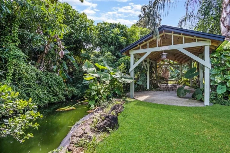7 Summit Pathways - Tampa, FL - backyard