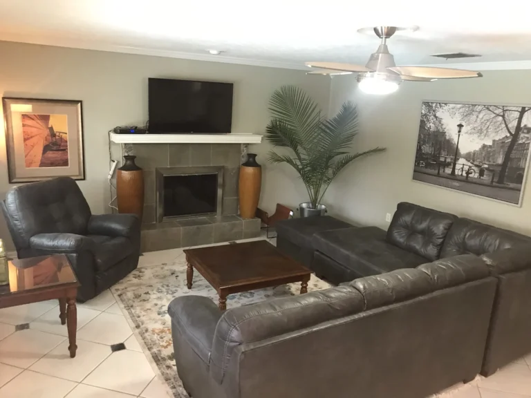 7 Summit Pathways _ Tampa, FL - living room new1