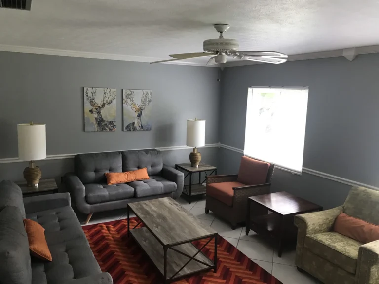 7 Summit Pathways _ Tampa, FL - living room new2