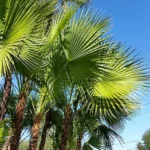 7 Summit Pathways _ Tampa, FL - signpalms-LM